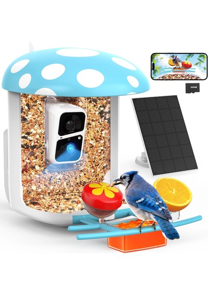 Akıllı Kuş Yemliği, Kamera, 2k Canlı Gerçek Zamanlı Uyarı - Mavi
