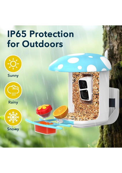 Akıllı Kuş Yemliği, Kamera, 2k Canlı Gerçek Zamanlı Uyarı - Mavi fiyatları