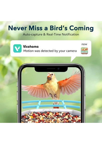 Akıllı Kuş Yemliği, Kamera, 2k Canlı Gerçek Zamanlı Uyarı - Mavi modelleri