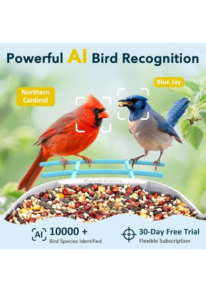 Akıllı Kuş Yemliği, Kamera, 2k Canlı Gerçek Zamanlı Uyarı - Mavi indirimleri