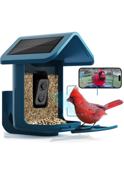 Güneş Enerjili Kameralı Kuş Yemliği: 2k Canlı Yayın Kamerası - Mavi