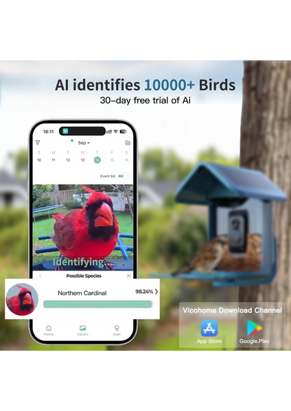 Güneş Enerjili Kameralı Kuş Yemliği: 2k Canlı Yayın Kamerası - Mavi indirimleri