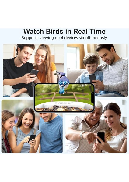 Pav - Akıllı Kuş Yemliği, Güneş Enerjili Kamera 2k Hd - Açık Kahverengi fırsatları