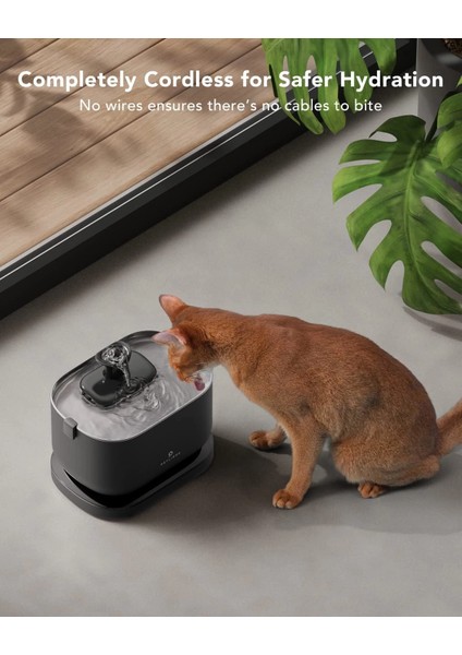 Petlıbro Evcil Hayvan Çeşmesi Kablosuz Pille Çalışan - Siyah fiyatları