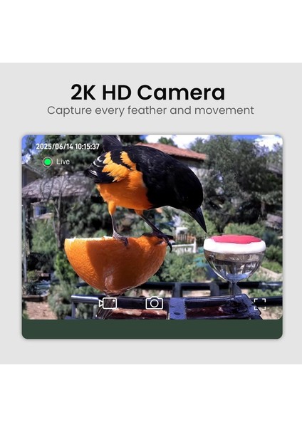 Kamera, Güneş Enerjili 2k Hd Video - Mavi modelleri