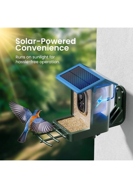 Kamera, Güneş Enerjili 2k Hd Video - Mavi indirimleri