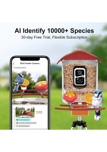 Pav - Akıllı Kuş Yemliği, Güneş Enerjili Kamera 2k Hd - Kırmızı fiyatları