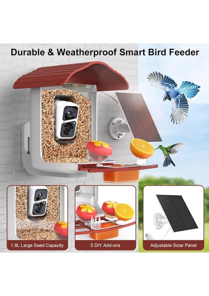 Pav - Akıllı Kuş Yemliği, Güneş Enerjili Kamera 2k Hd - Kırmızı modelleri