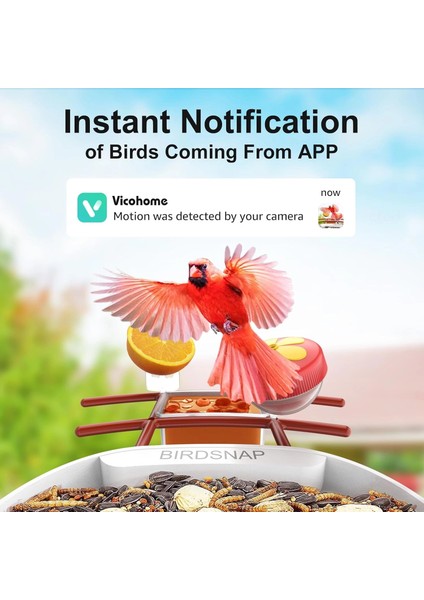 Pav - Akıllı Kuş Yemliği, Güneş Enerjili Kamera 2k Hd - Kırmızı fırsatları