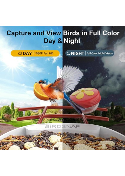 Pav - Akıllı Kuş Yemliği, Güneş Enerjili Kamera 2k Hd - Kırmızı indirimleri