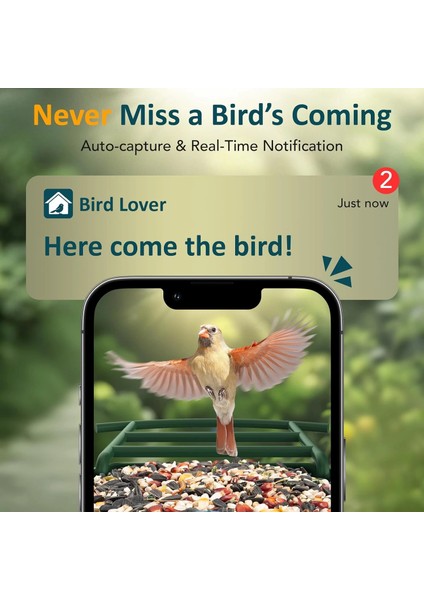 Akıllı Kuş Yemliği Kameralı Güneş Enerjili, 1080P Hd - Yeşil modelleri