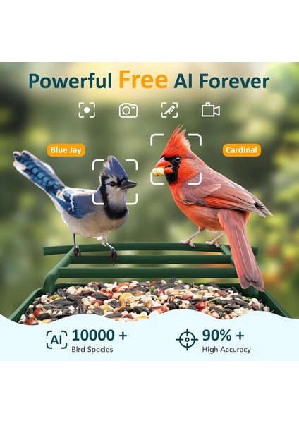 Akıllı Kuş Yemliği Kameralı Güneş Enerjili, 1080P Hd - Yeşil indirimleri