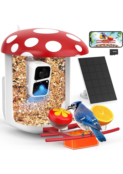 Akıllı Kuş Yemliği, Kamera, 2k Canlı Gerçek Zamanlı Uyarı - Kırmızı