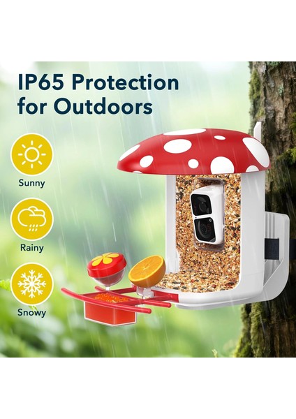 Akıllı Kuş Yemliği, Kamera, 2k Canlı Gerçek Zamanlı Uyarı - Kırmızı fiyatları