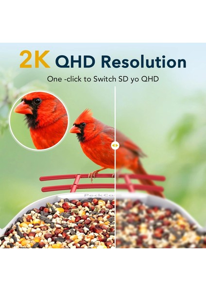 Akıllı Kuş Yemliği, Kamera, 2k Canlı Gerçek Zamanlı Uyarı - Kırmızı modelleri