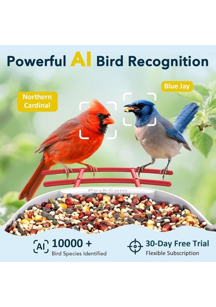 Akıllı Kuş Yemliği, Kamera, 2k Canlı Gerçek Zamanlı Uyarı - Kırmızı indirimleri