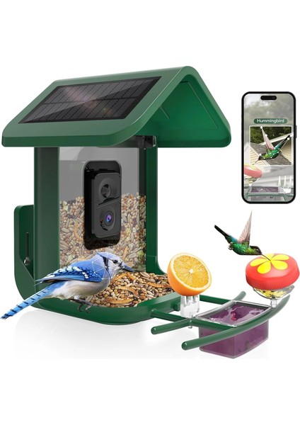 Güneş Enerjili Kameralı Kuş Yemliği: 2k Canlı Yayın Kamerası - Yeşil