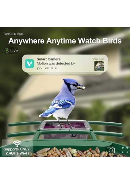 Güneş Enerjili Kameralı Kuş Yemliği: 2k Canlı Yayın Kamerası - Yeşil fiyatları