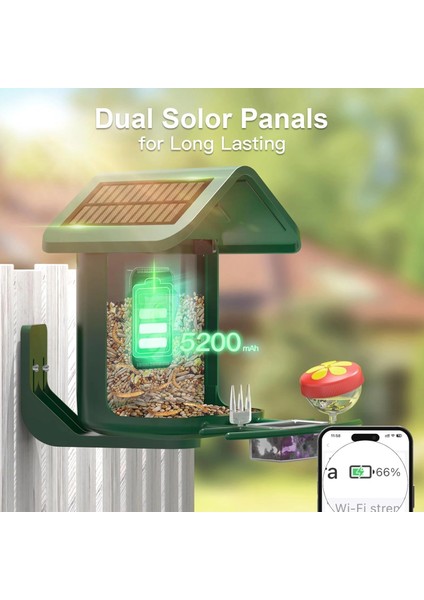 Güneş Enerjili Kameralı Kuş Yemliği: 2k Canlı Yayın Kamerası - Yeşil modelleri