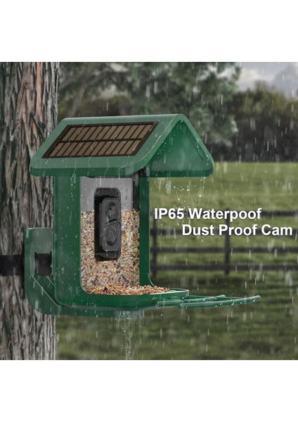 Güneş Enerjili Kameralı Kuş Yemliği: 2k Canlı Yayın Kamerası - Yeşil fırsatları