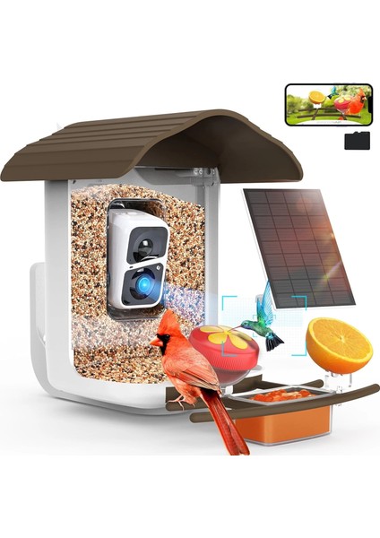 Pav - Akıllı Kuş Yemliği, Güneş Enerjili Kamera 2k Hd - Koyu Kahverengi