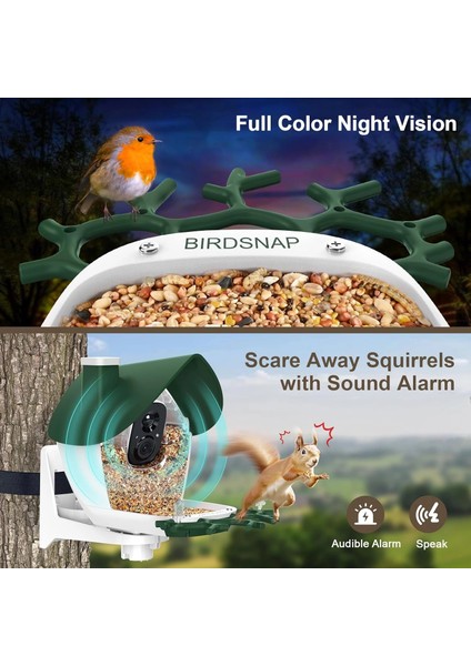 P33 - Güneş Enerjili 2k Video Canlı Kuş Kamerası Yemliği - Koyu Yeşil fırsatları