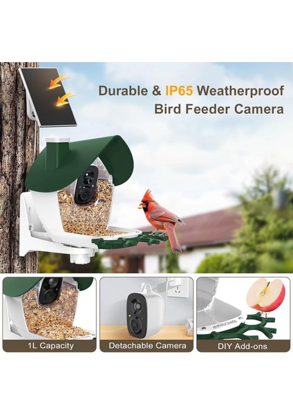 P33 - Güneş Enerjili 2k Video Canlı Kuş Kamerası Yemliği - Koyu Yeşil indirimleri