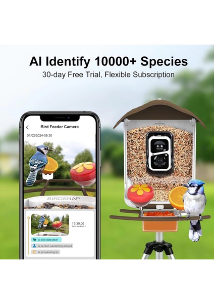 Pav - Akıllı Kuş Yemliği, Güneş Enerjili Kamera 2k Hd - Koyu Kahverengi fiyatları