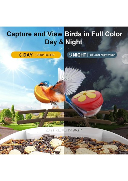 Pav - Akıllı Kuş Yemliği, Güneş Enerjili Kamera 2k Hd - Koyu Kahverengi fırsatları