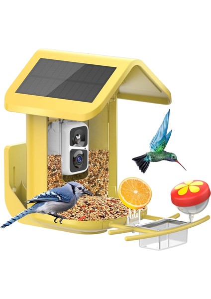 Güneş Enerjili Kameralı Kuş Yemliği: 2k Canlı Yayın Kamerası - Sarı