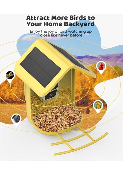 Güneş Enerjili Kameralı Kuş Yemliği: 2k Canlı Yayın Kamerası - Sarı fiyatları