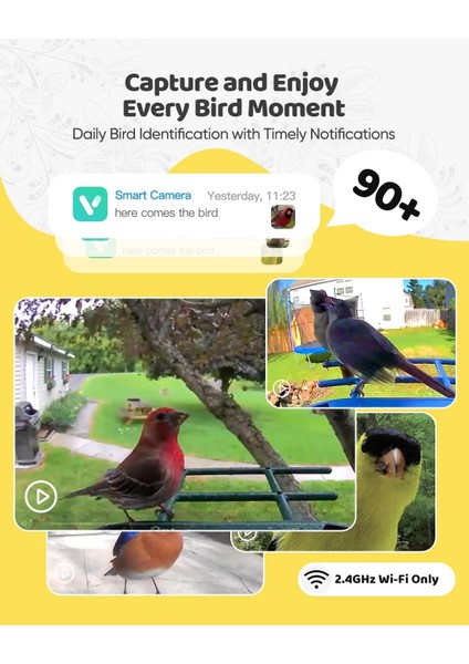 Güneş Enerjili Kameralı Kuş Yemliği: 2k Canlı Yayın Kamerası - Sarı fırsatları