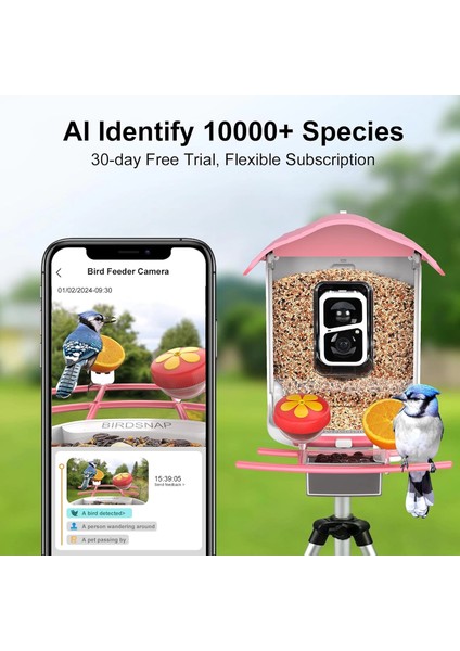 Pav - Akıllı Kuş Yemliği, Güneş Enerjili Kamera 2k Hd - Pembe fiyatları