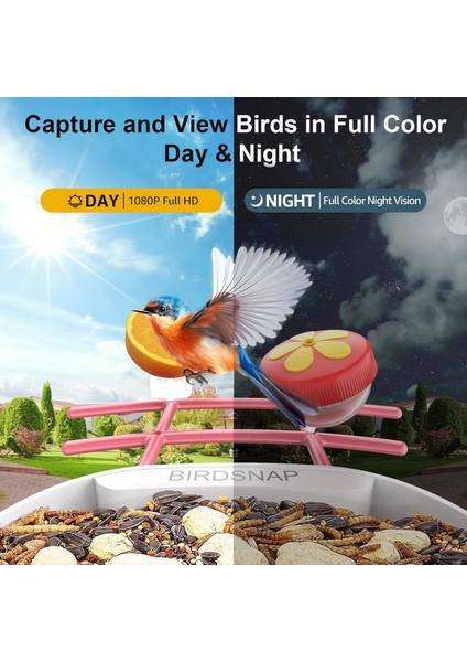 Pav - Akıllı Kuş Yemliği, Güneş Enerjili Kamera 2k Hd - Pembe fırsatları