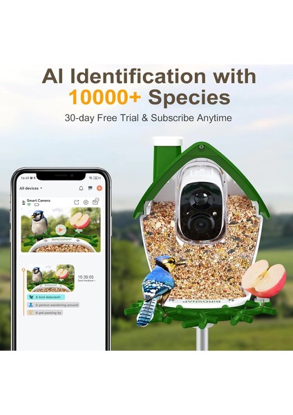 P33 - Güneş Enerjili 2k Video Canlı Kuş Kamerası Yemliği - Yeşil fiyatları