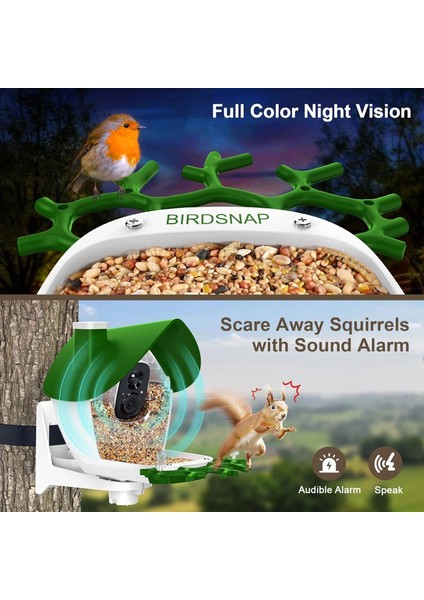 P33 - Güneş Enerjili 2k Video Canlı Kuş Kamerası Yemliği - Yeşil indirimleri