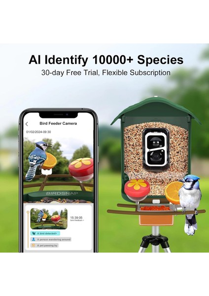 Pav - Akıllı Kuş Yemliği, Güneş Enerjili Kamera 2k Hd - Koyu Yeşil fiyatları