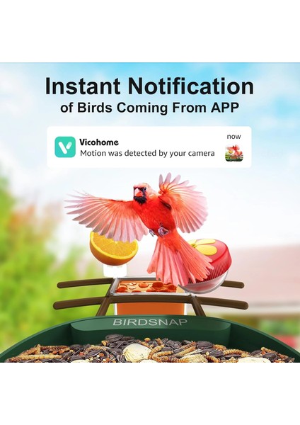 Pav - Akıllı Kuş Yemliği, Güneş Enerjili Kamera 2k Hd - Koyu Yeşil fırsatları