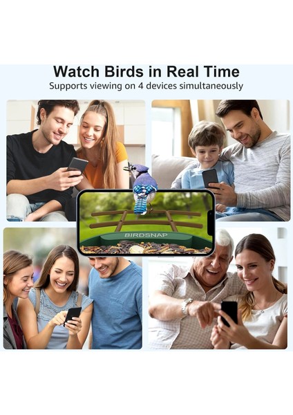 Pav - Akıllı Kuş Yemliği, Güneş Enerjili Kamera 2k Hd - Koyu Yeşil indirimleri