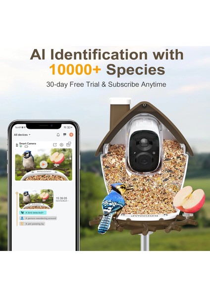 P33 - Güneş Enerjili 2k Video Canlı Kuş Kamerası Yemliği - Kahverengi fiyatları