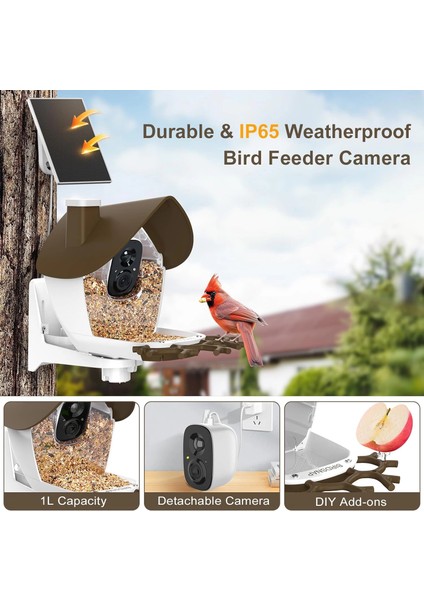 P33 - Güneş Enerjili 2k Video Canlı Kuş Kamerası Yemliği - Kahverengi fırsatları