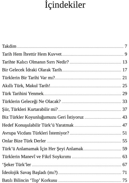 Türk Resminin Yüz Bir Yüzü (Ciltli) - İhsan Fazlıoğlu modelleri