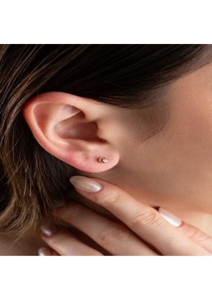 14 Ayar Altın Tekli Kalemli Top Küpe fiyatları