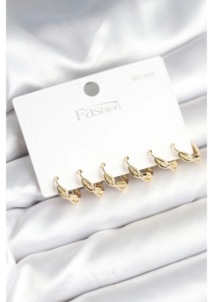 Bfs Gold Renk Pirinç Sarmal Model 925 Ayar Gümüş Çivili Kadın Küpe Seti