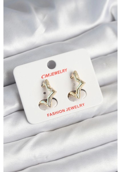 Bfs Pirinç Gold Renk Yıldız Model Kadın Küpe