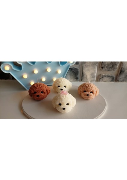 Sevimli Köpek Mum Kokulu