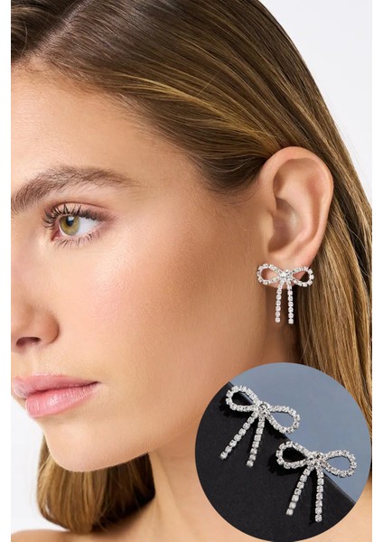 Kadın Gümüş Renk Zirkon Taşlı Fiyonk Küpe