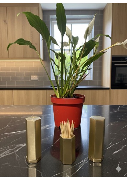 Som Pirinç Tuzluk Biberlik Kürdanlık Seti Şık Masa Üstü Aksesuarı