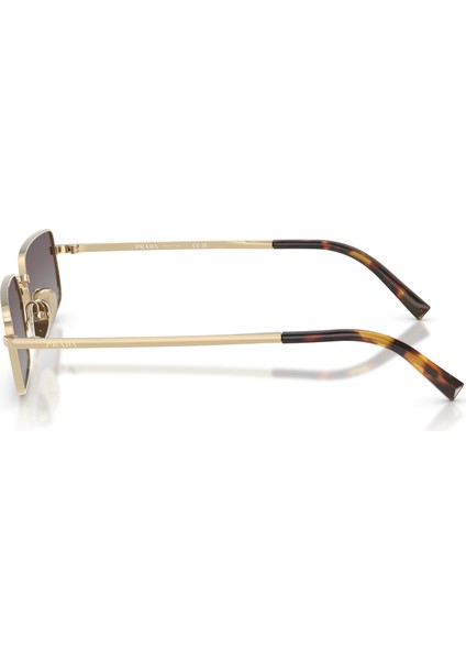 Pr A60S ZVN-30C 59-16 Soluk Altın Kadın Güneş Gözlüğü modelleri