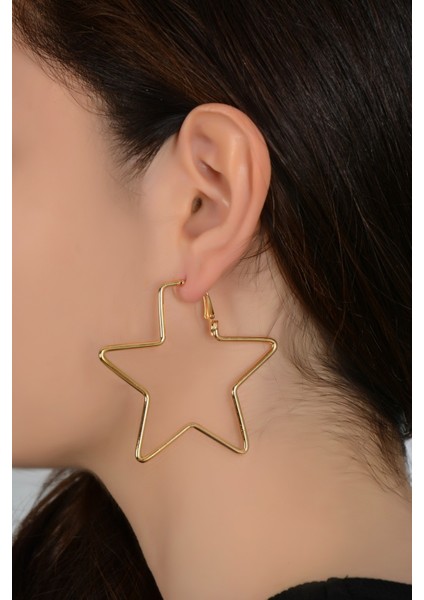 Kadın Gümüş Rengi Yıldız Tarz Küpe